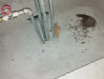 阿克苏卫生间测漏水价格明细