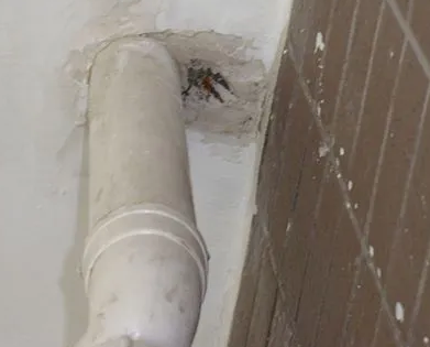 阿克苏漏水检测哪家好